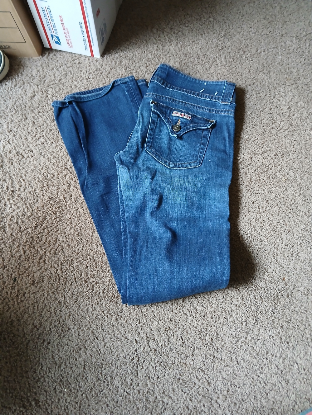 Hudson Classic Blue Women's Jeans - Fashionable Everyday Denim
